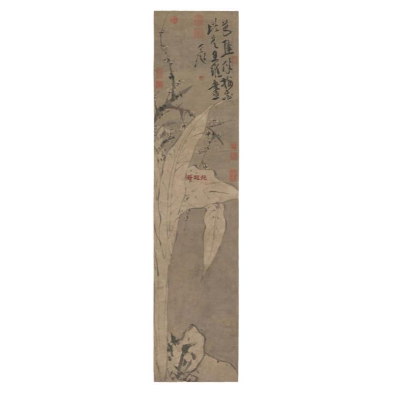 明徐渭梅花蕉叶图名家写意花卉