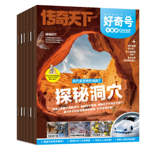 【全年订阅+送42件文具礼盒】好奇号杂志2025/2026年1-12月+送双语小册子 中小学生科学科普百科青少年万物博物阳光少年报过期刊