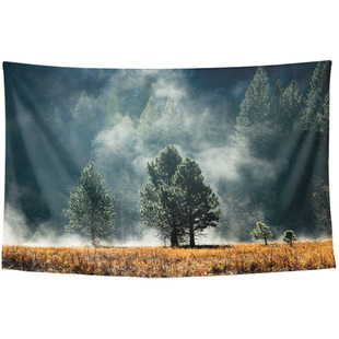 宁静清新森林神秘云雾治愈感艺术装饰画门帘海报背景布挂布挂毯