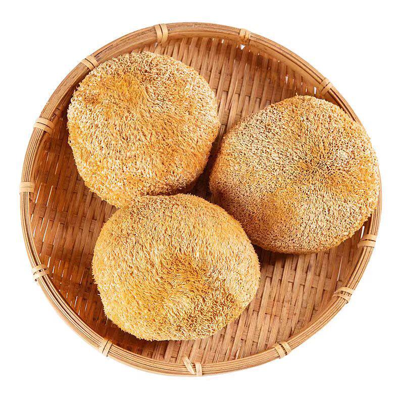猴头菇干货古田菌菇新鲜养胃