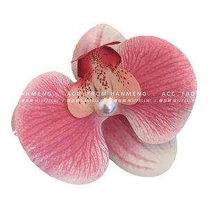 紫色迷雾！蝴蝶兰花朵发夹！2024新款高级氛围感晕边夹发饰花头饰