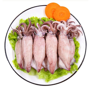 丹东满籽新鲜笔管鱼海兔子全籽大籽乌鲜冻鲜活海鲜水产带籽小鱿鱼