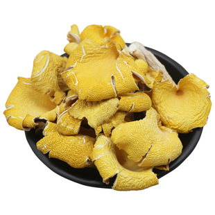 新货鸡油菌干货500g云南特产野生菌特级黄丝菌榆黄菇黄金菇鸡油黄