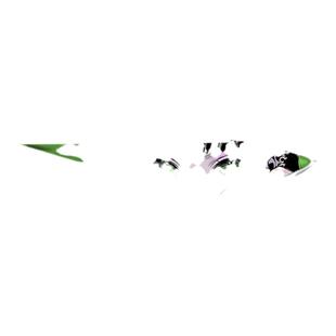 二次元动漫车贴眼神镭射JDM少女电动车摩托电脑机箱防水3D痛车贴