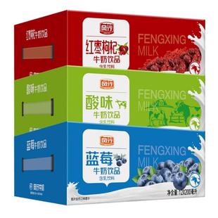 风行酸味+蓝莓+红枣枸杞经典风味牛奶200mL*12盒*3箱官方旗舰店