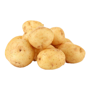 黄皮土豆种孑种子种籽马铃薯种黄心带芽本地高产特大批发发芽原种