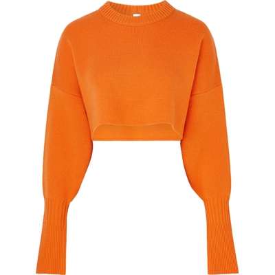 【季末折扣】CFCL 秋冬女针织短款上衣