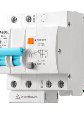 公牛漏电保护器2P家用
