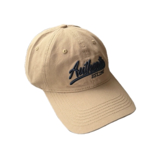 丁走走大头围刺绣软顶棒球帽女遮阳宽檐显脸小百搭纯棉鸭舌帽子男