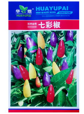 七彩辣椒种子农家蔬菜阳台盆栽
