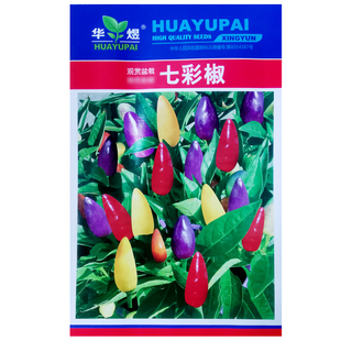 七彩辣椒种子观赏椒阳台盆栽庭院播种植朝天椒农家作物疏蔬菜种籽