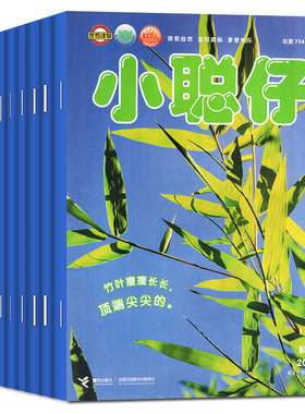 小聪仔科普版2026年1-8月/订阅