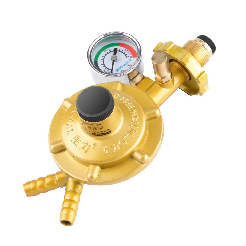 液化气减压阀家用新国标煤气罐安全阀自动关闭热水器燃气灶一拖二