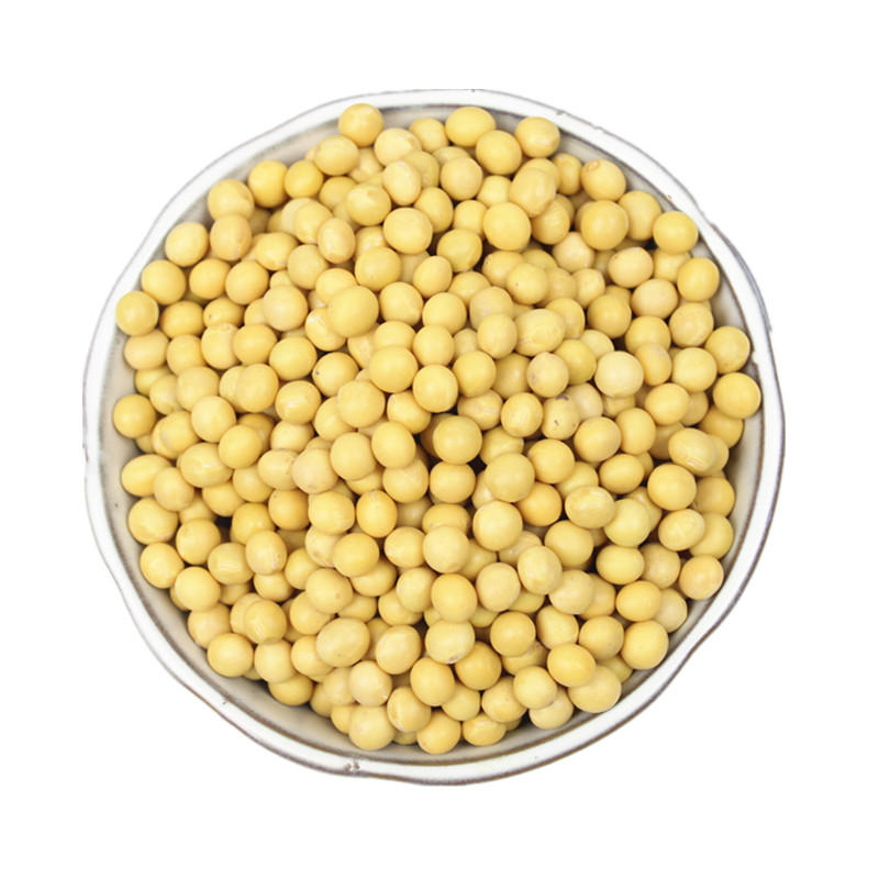 熟黄豆5斤即食低温烘焙现磨豆浆
