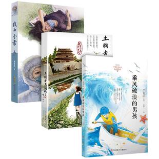 【2020中国好书】乘风破浪的男孩 一路繁花系列赵菱 家属的励志故事勇气三四五六年级小学生课外 阅读书 7-10-12-14岁儿童文学