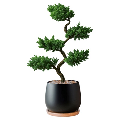 五层塔松绿植寓意好美观