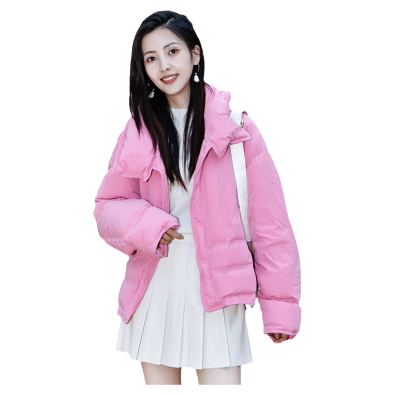 艾尚雪简约休闲90白鹅绒羽绒服