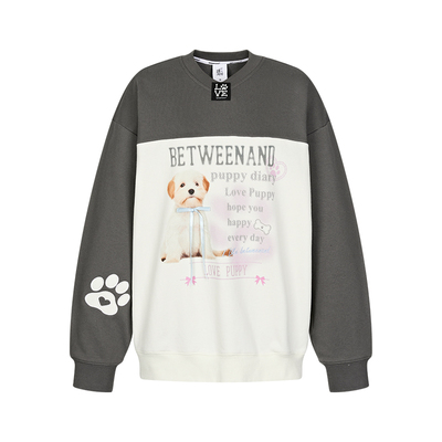 小狗V领撞色贴布套头卫衣