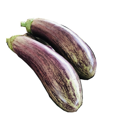 云南糯米冰川茄新鲜现发