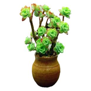 景德镇窑变双耳透气办公室桌面假花摆件多肉陶瓷大蘑菇控养小花盆