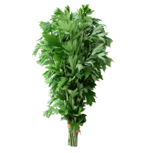 书法款新鲜艾草花束diy手工材料包端午节门挂菖蒲女贞果真叶花篮