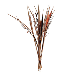 天然巴西可可叶带花进口干花高端复古侘寂风植物插花干枝装饰摆件