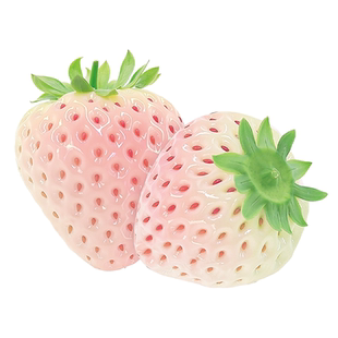 【送货上门】淡雪白草莓送货上门现货白雪公主草莓新鲜奶油草莓