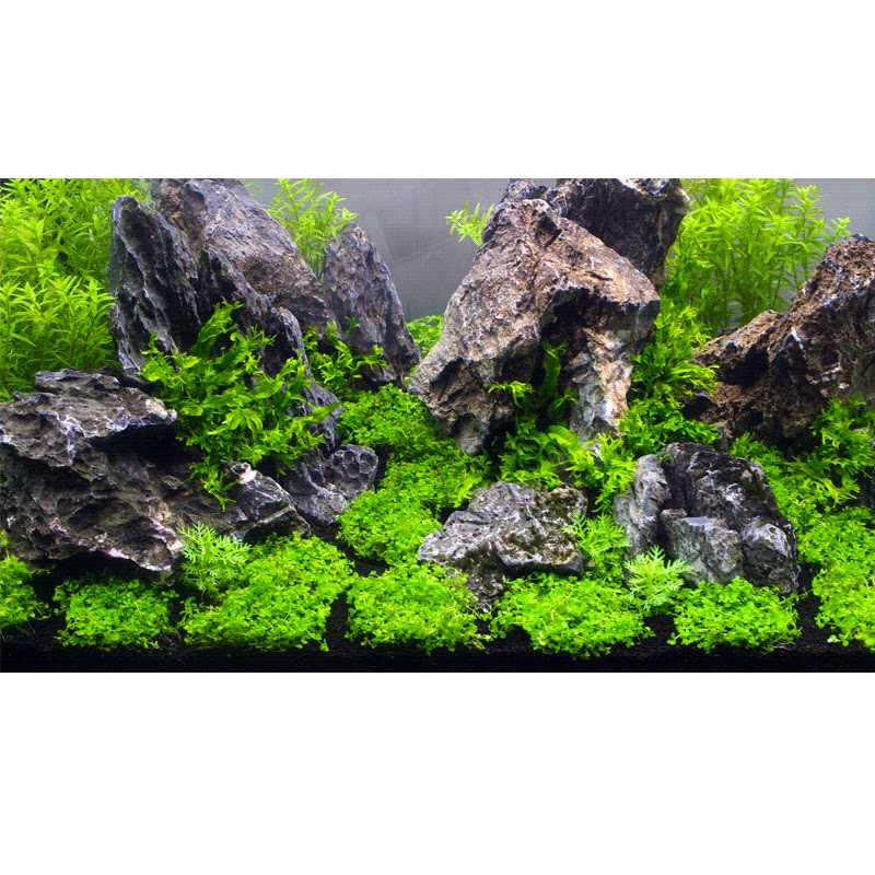 鱼缸背景纸画高清图3d立体鱼缸壁纸背景画定制水族箱装饰鱼缸贴纸