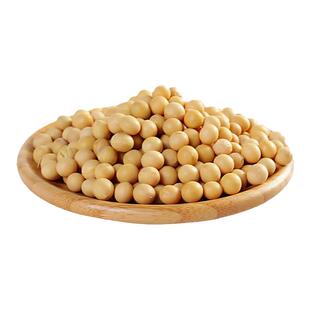 超级千斤豆黄豆种子早黄豆种子中黄13大豆种籽高产中黄37黄豆种子