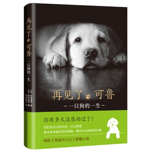 再见了可鲁 一只狗的一生 石黑谦吾著 记录导盲犬可鲁平凡却感人的一生 电影小Q原著小说 外国文学社会小说感人之作排行正版