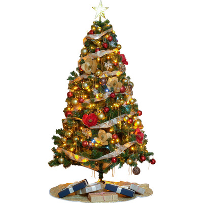 新款圣诞树弘信美陈豪华加密