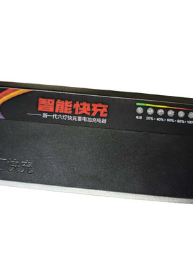 高端六灯适用永久电动车电瓶充电器48V60V20AH72V20AH32Ah40A