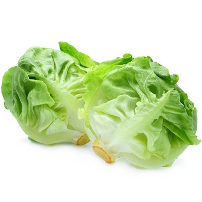 奶油生菜新鲜沙拉蔬菜轻食叶质脆嫩西餐沙拉蔬菜食材健身500g