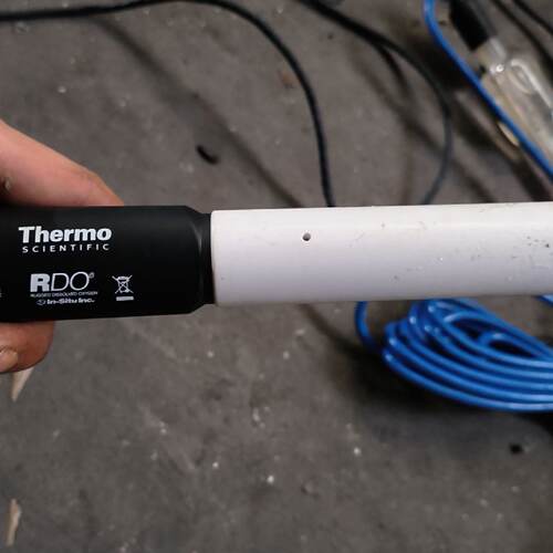 【询价】Thermo溶解氧电极，成色很好，，，目测成色九成新适用