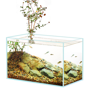 鱼乐多金晶超白玻璃鱼缸客厅家用生态裸缸溪流缸龟长方形2025新款