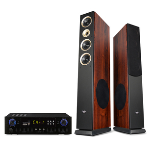 丹麦 三分频无源发烧hifi音箱家用家庭功放客厅落地前置组合音响