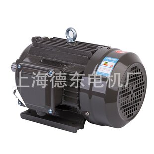上海德东 YE2 YE3 100L2-4 3KW 三相异步电动机 马达
