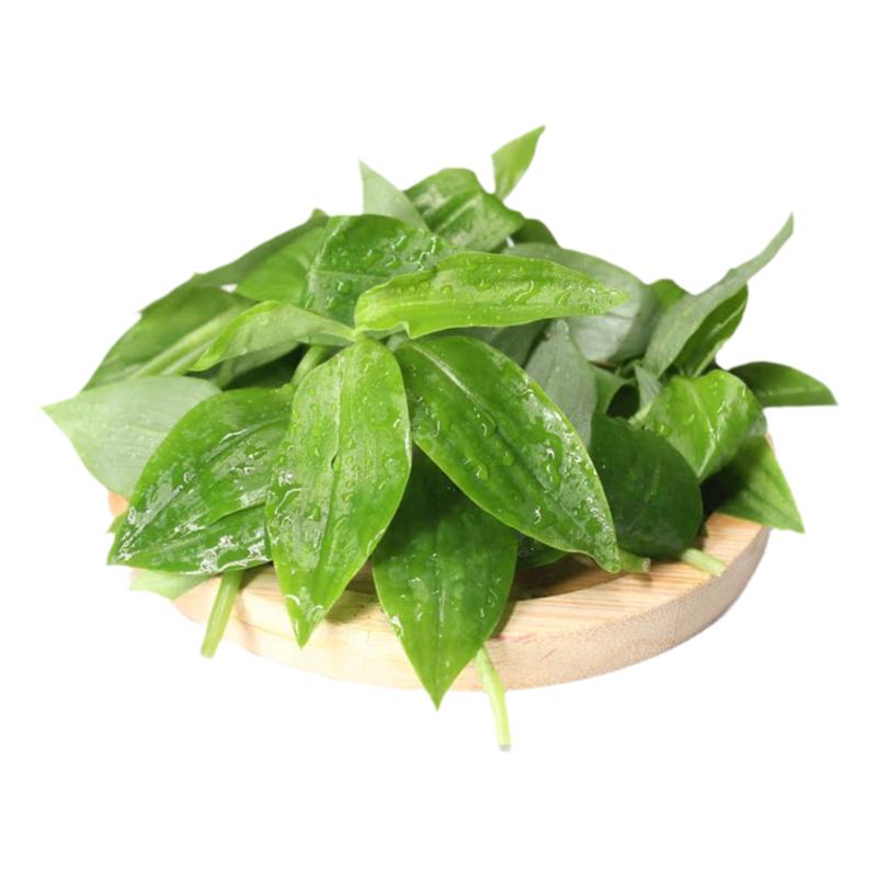 石斛苗新鲜野菜翡翠石斛叶蔬菜火锅上汤煲汤清炒时令蔬菜200g