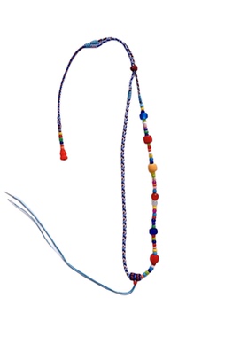 小红书同款项链吉祥小象锁骨链