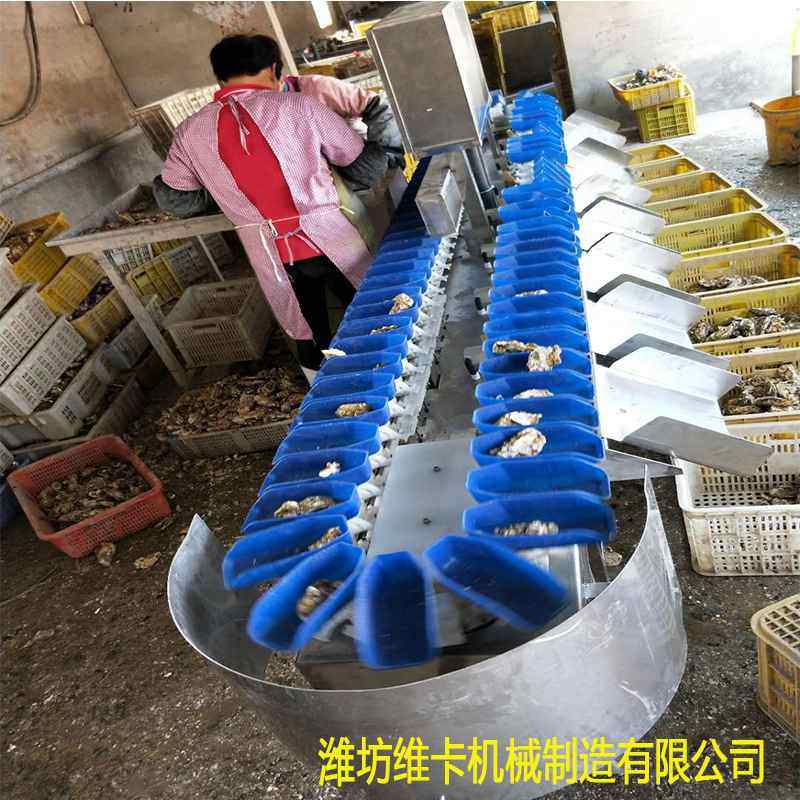 高精度 牡蛎分选机 牡蛎多级 重量分选机 厂家现货专业生产厂家,清洗/食品/商业设备,选果机/分选机,淘宝优惠券,粉丝福利购,淘宝优惠卷