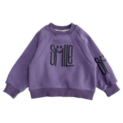 中小男孩加绒卫衣洋气紫色套头衫