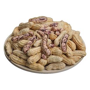 云南普洱七彩花生农家原味七彩野地生花生种子新货带壳晒干非红皮