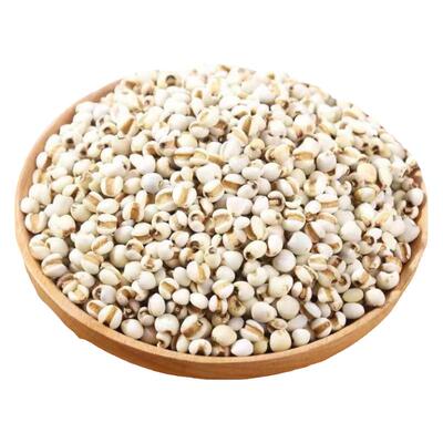 薏仁米500g 新米贵州农家自产新货五谷杂粮薏米仁薏米 薏仁米