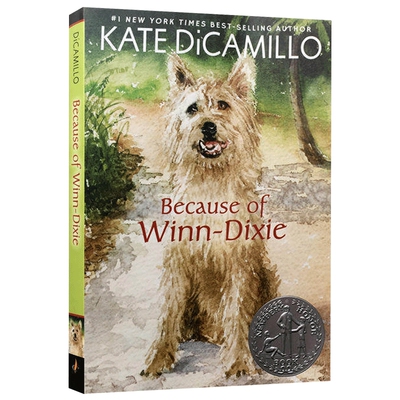 傻狗温迪克英文原版小说