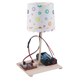 自制可调节亮度台灯九年级初中跨学科实践科学小制作物理电学实验