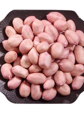 25年大粒新鲜商用花生原味白皮大颗粒晒干小颗粒源头袋装优选新货