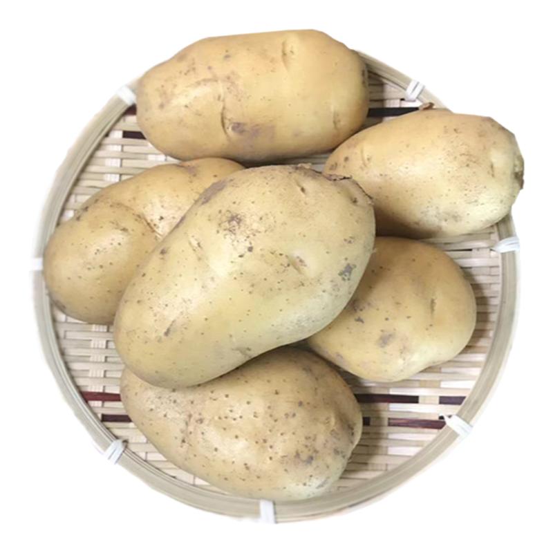 东北当季新鲜现挖黄心土豆包邮