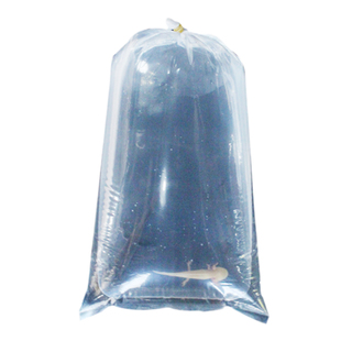 加厚水族观赏鱼打包袋两角平口快递运输活鱼袋子塑料氧气袋装鱼