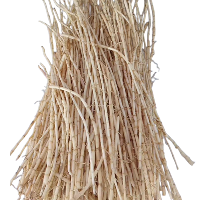 茅根新鲜野生白茅根丝毛根中药材