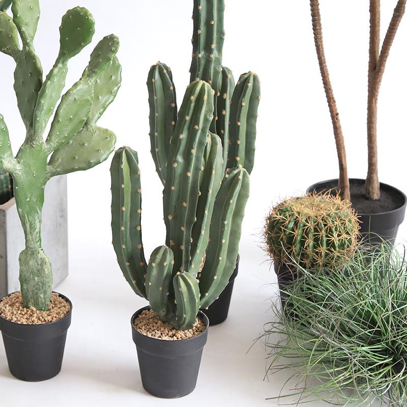 仿真仙人柱绿植盆栽装饰仿生热带沙漠植物造景套餐组合假仙人掌